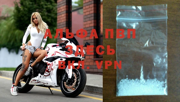 ALPHA-PVP Белокуриха