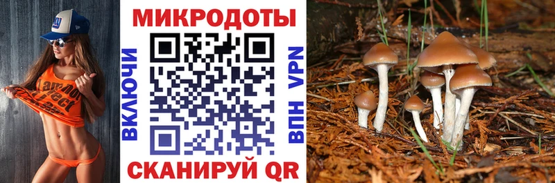 даркнет официальный сайт  Будённовск  Галлюциногенные грибы Magic Shrooms 